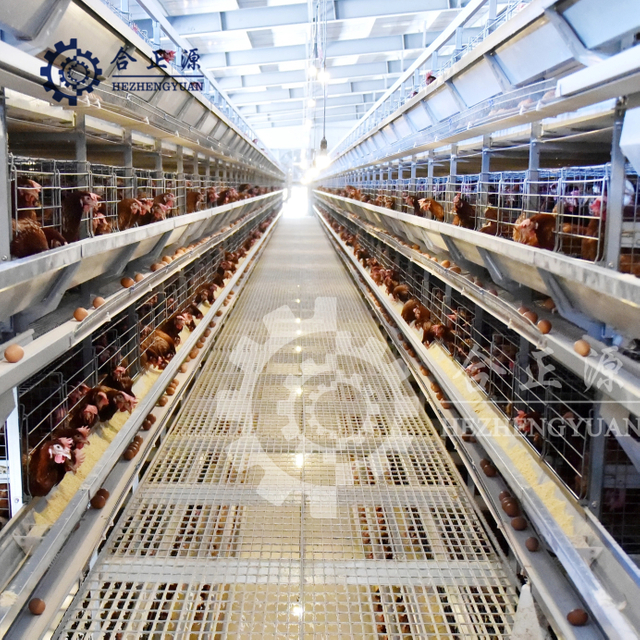 Jaulas en bater&iacute;a para aves de corral tipo H, granja de pollos de 8 niveles, a la venta