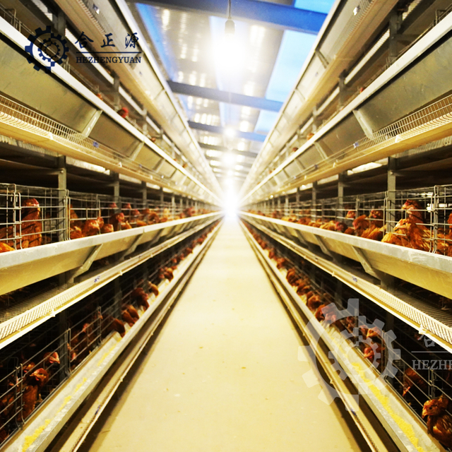 Type H ferme de poulet de couche cages de batterie de volaille de 4 rang&eacute;es &agrave; vendre