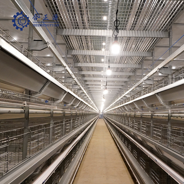 Levering van een volledig automatisch pluimveeverlichtingssysteem voor legkippen H-type kippenkooien
