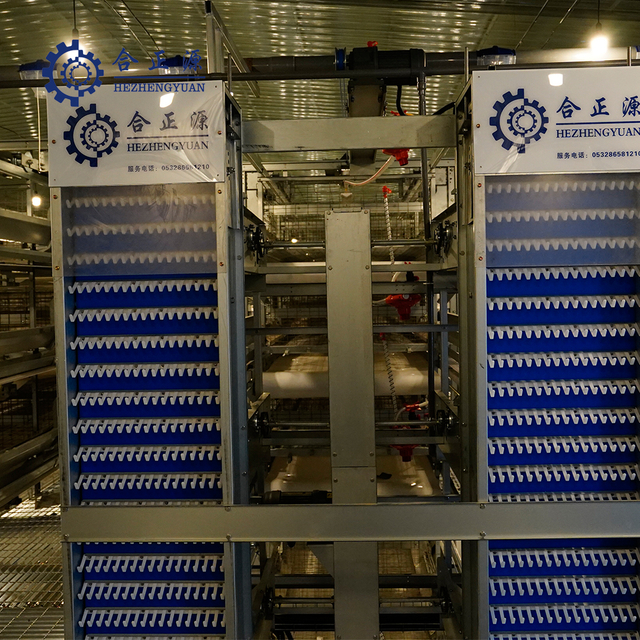 Automatyczny akumulatorowy system klatek do niosek dla kurcząt z automatyczną maszyną do zbierania jaj