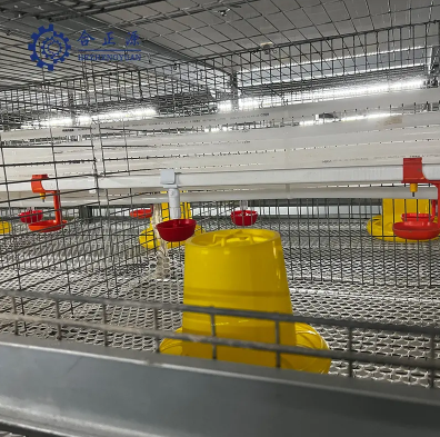 10 caract&eacute;ristiques indispensables du syst&egrave;me d’abreuvement automatique pour poulets et canards