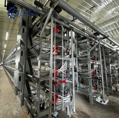 &iquest;C&oacute;mo instalar gallineros autom&aacute;ticos para la cr&iacute;a de pollos?