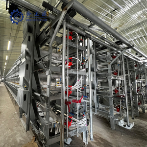 Jaula de cr&iacute;a autom&aacute;tica de equipos agr&iacute;colas de pollitas OEM a la venta
